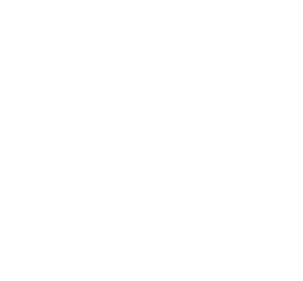 Joel Gott