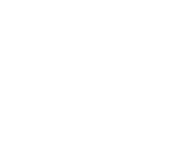 Vall Llach